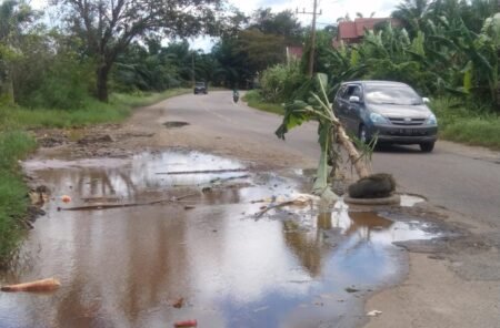 Jalan Nasional di Rantau Selamat, Aceh Timur, Tak Kunjung Diperbaiki