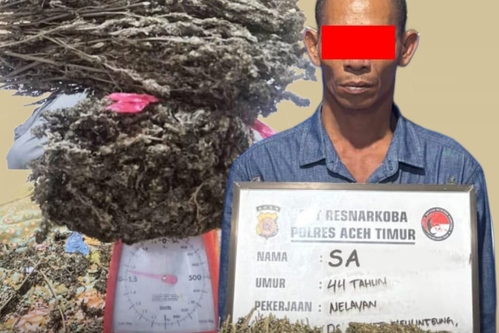 Polres Aceh Timur Tangkap Pengedar Ganja “Sikilo 6 Ons”