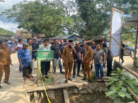 Bupati Aceh Timur Tinjau Langsung Jembatan Rusak di Desa Pertamina