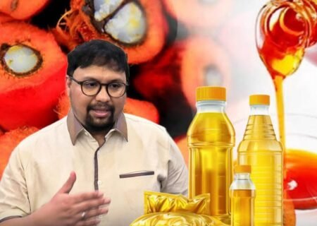 Investor Asal Aceh Bakal Bangun Pabrik Minyak Goreng di Tanah Rencong