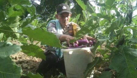 Polsek Rantau Selamat Kembangkan Program Ketahanan Pangan Bergizi