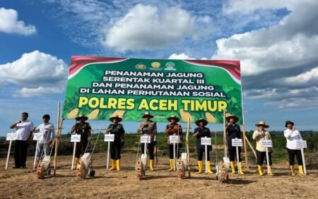 Pemkab Aceh Timur kembali Mengikuti Penanaman Jagung kuartal III Serentak