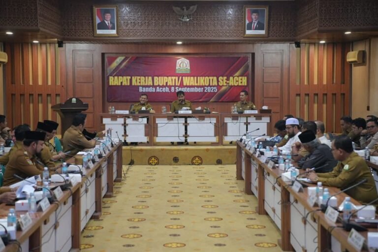 Gubernur Aceh Muzakir Manaf Tekankan 5 Hal Penting dalam Rapat Kerja Bupati dan Wali Kota