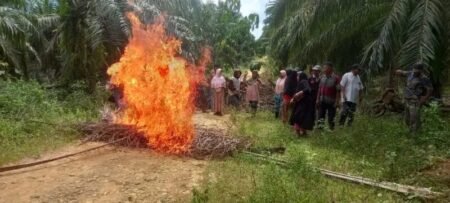 Ratusan Warga Aceh Utara Blokir Jalan Masuk Perkebunan Sawit, Tuntut Pengembalian Tanah