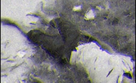 Video Amatir Menghebohkan: Pria Berlumuran Darah di Kepala Terdampar di Tanah