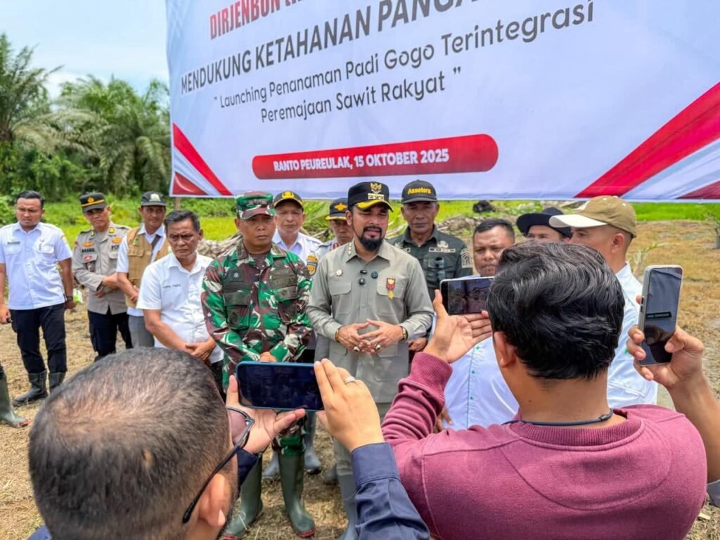 Aceh Timur Launching Program Penanaman Padi Gogo Terintegrasi Peremajaan Sawit Rakyat
