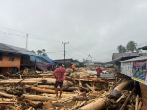Banjir Aceh Timur: Tiga Kecamatan Terisolir, Masyarakat Kelaparan