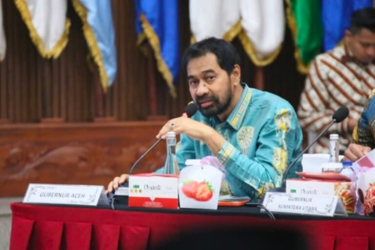 Pemprov Aceh Serta 2 Pemkab di Aceh Perpanjang Masa Tanggap Darurat Bencana Alam