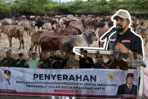 Bupati Aceh Timur Serahkan Bantuan Sapi Meugang dari Presiden