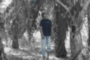 TRAGIS! Warga Aceh Timur Gantung Diri di Kebun Sawit, Motif Masih Misterius