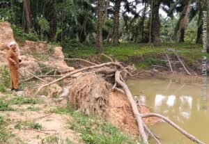Camat Julok Tinjau Abrasi Tanggul DAS Arakundo