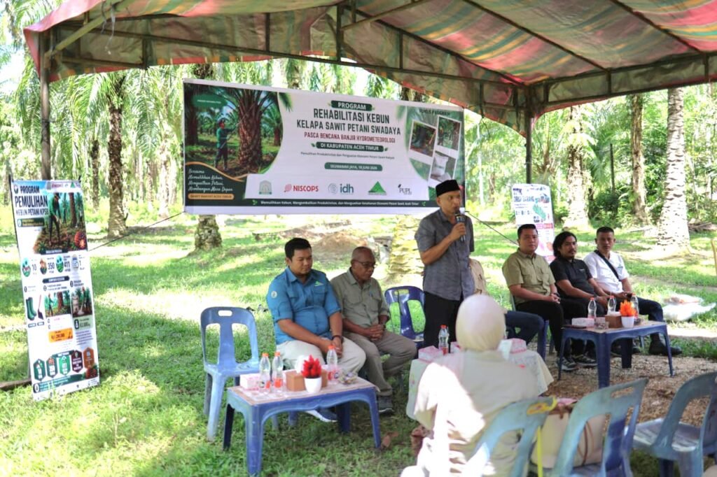 Aceh Timur Luncurkan Rehabilitasi Kebun Sawit Petani Pasca Banjir, 411 Hektare Jadi Target
