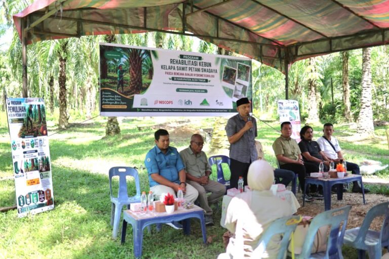 Aceh Timur Luncurkan Rehabilitasi Kebun Sawit Petani Pasca Banjir, 411 Hektare Jadi Target