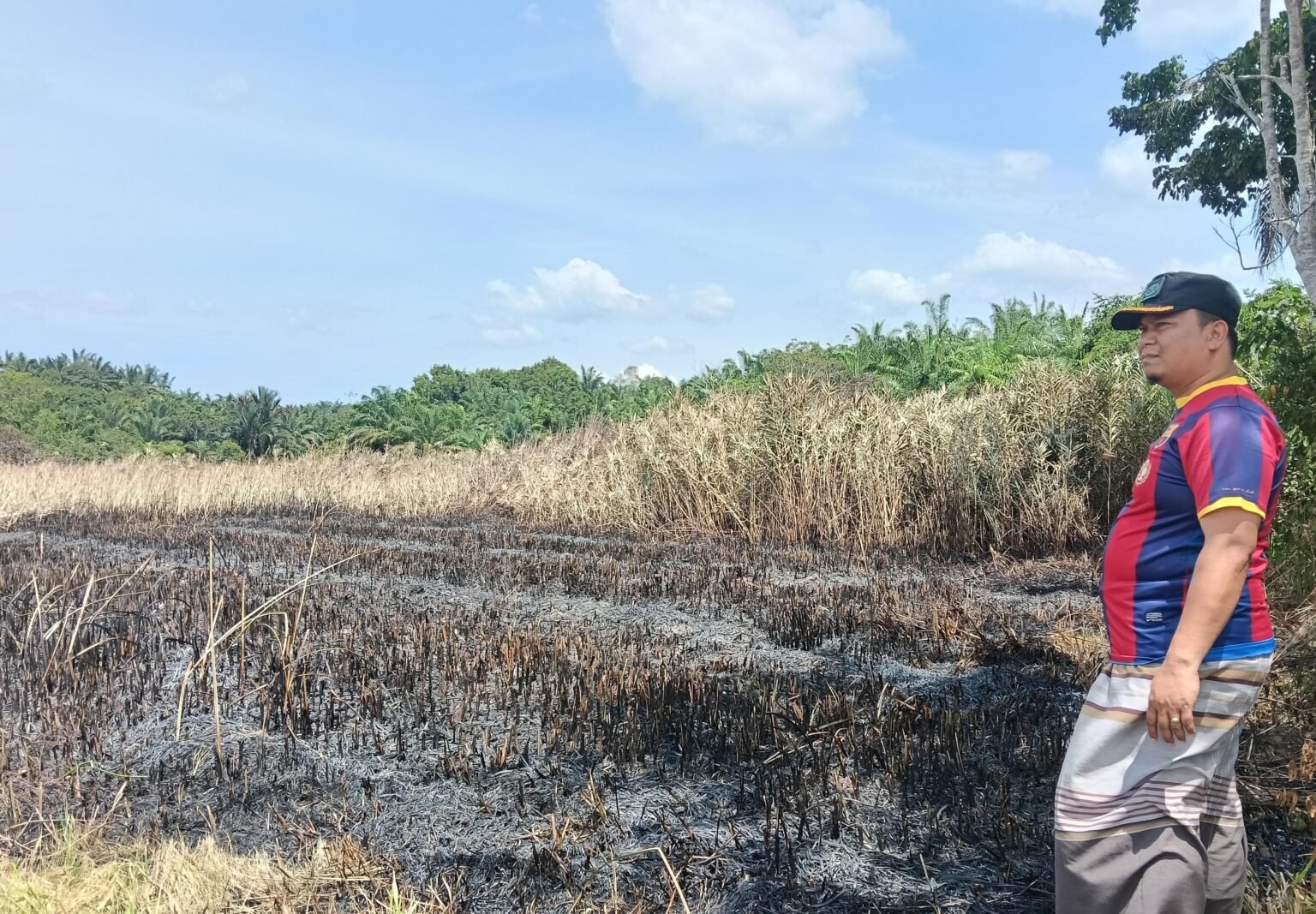 Kebakaran Hutan & Lahan 3 Hektar, Camat Julok Ingatkan Warga Cermat Membakar Sampah