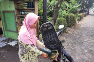 Beli Minyak Bayar Pajak, Pemerintah Aceh Pungut Pajak PBBKB Disetiap Liter Harga BBM