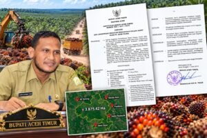 Dokumen 2016: PT Bumi Flora Kantongi Izin Lingkungan Untuk HGU Tenyata Diteken Bupati Rocky