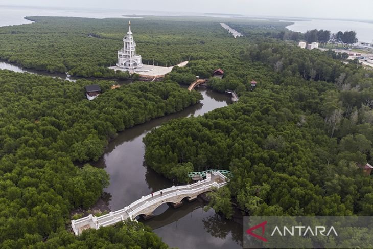 Dana Otsus Aceh Merugi, 4 Milyar Pembangunan Wisata Hutan Mangrove Tersandung Korupsi