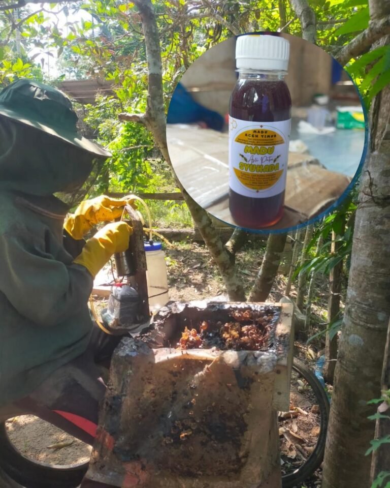 Dari Pekarangan hingga Usaha Produktif, UMKM Binaan Medco Tumbuh di Aceh Timur