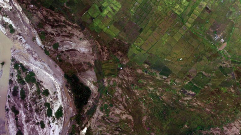 Akurasi Data dan Konsistensi Jadi Kunci Pemulihan Ekosistem Sawah Pasca Bencana Hidrometeorologi